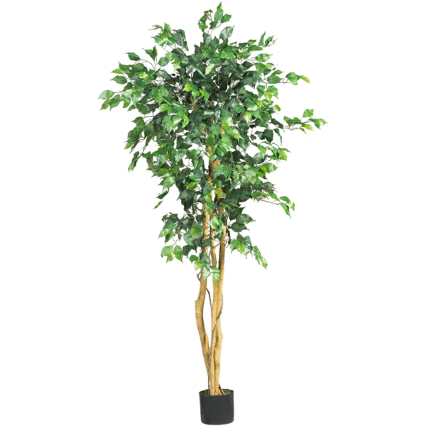 Artificial Banyan Tree