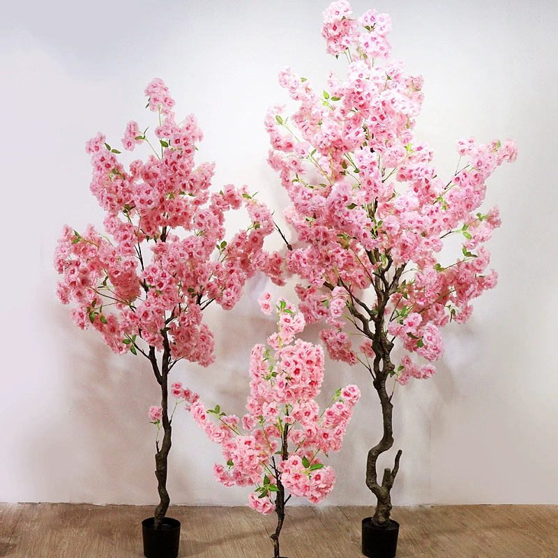 KGJ03004-Cherry (6)