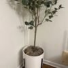 Artificial Eucalyptus Tree