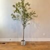 Artificial Eucalyptus Tree