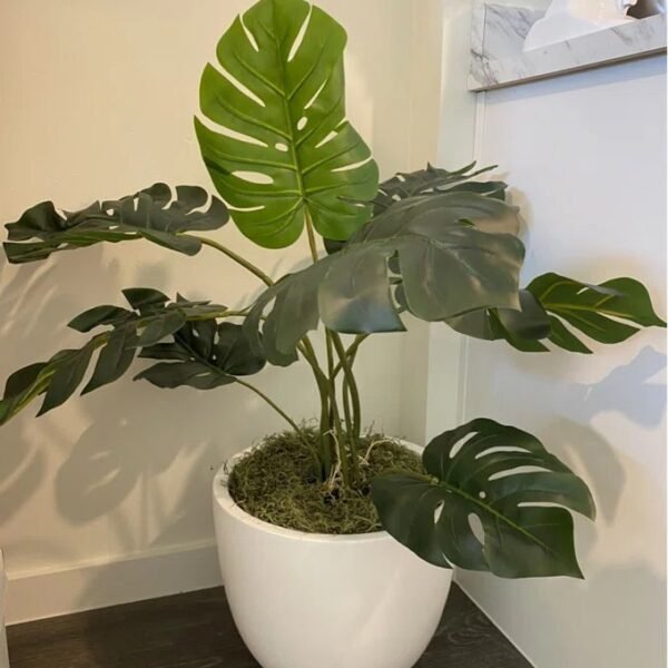 Artificial Split Leaf Philodendron