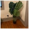 Artificial Split Leaf Philodendron