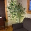 Artificial Birch Tree
