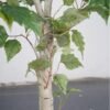 Artificial Birch Tree