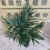 Artificial Areca Palm