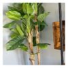 Artificial Banana Tree