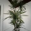 Artificial Dracaena Tree