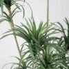 Artificial Dracaena Tree