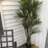 Artificial Dracaena Tree