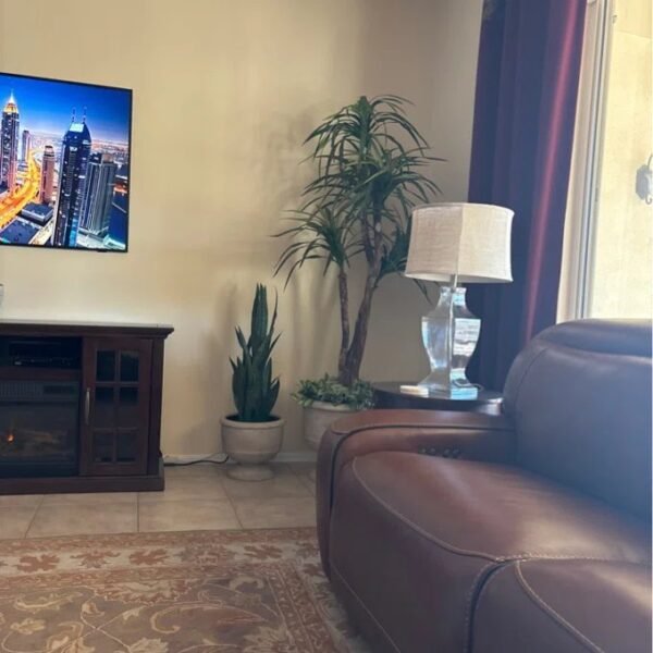 Artificial Dracaena Tree