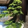 Artificial Pine Tree