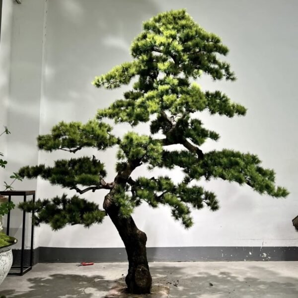 Artificial Pine Tree