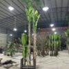 Artificial Banana Tree In Pot