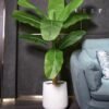 Artificial Banana Tree In Pot