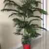 Artificial Palm Tree In Pot
