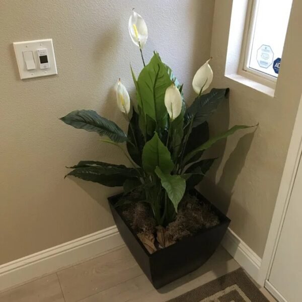 Artificial Peace Lily