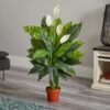Artificial Peace Lily