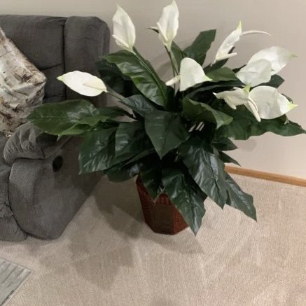 Artificial Peace Lily