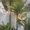 Artificial Royal Coconut Palm Tree