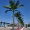 Artificial Royal Coconut Palm Tree