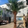 Artificial Large Palm Tree