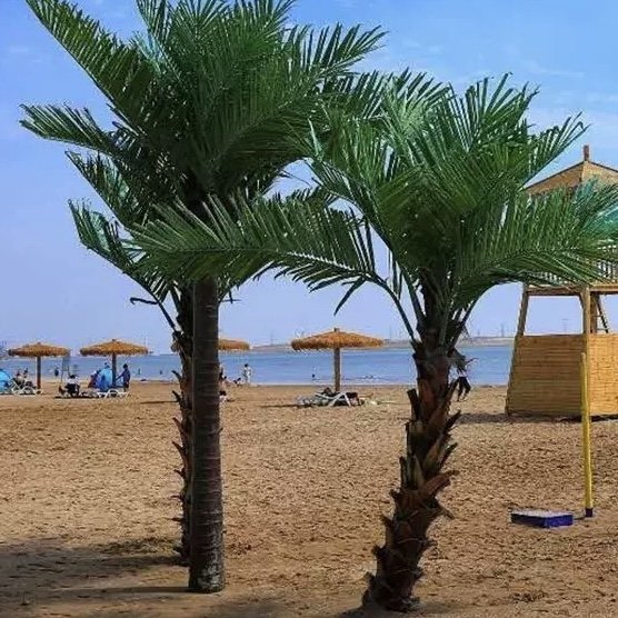 Artificial Large Palm Tree