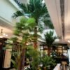 Artificial Large Palm Tree