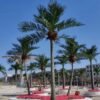 Artificial Coconut Palm Tree