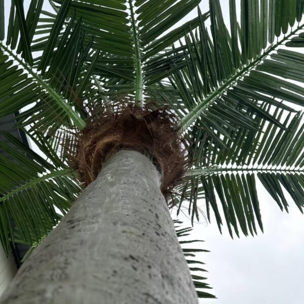 Artificial Coconut Palm Tree
