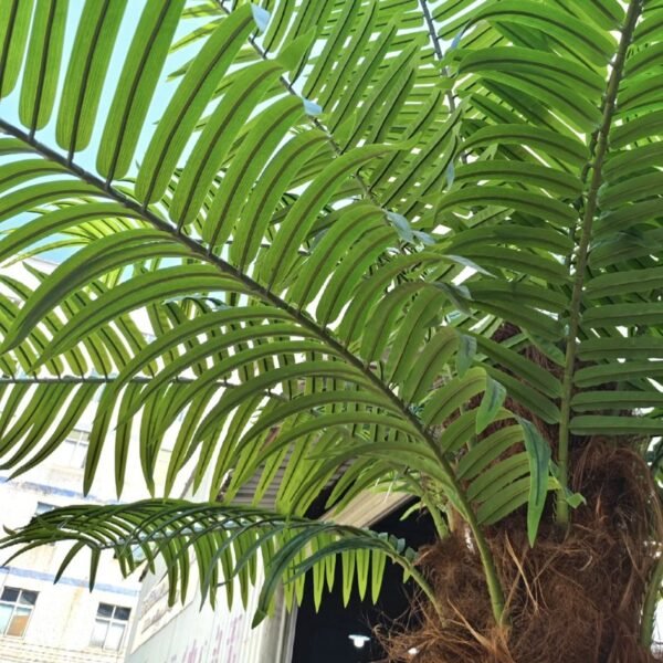 Artificial Coconut Palm Tree