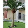 Artificial Coconut Palm Tree