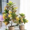 Artificial Croton Plants