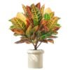 Artificial Croton Plants