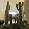 Artificial Cactus Tree