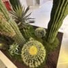 Artificial Cactus Tree