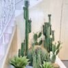 Artificial Cactus Tree