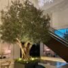Artifiicial Large Olive Tree