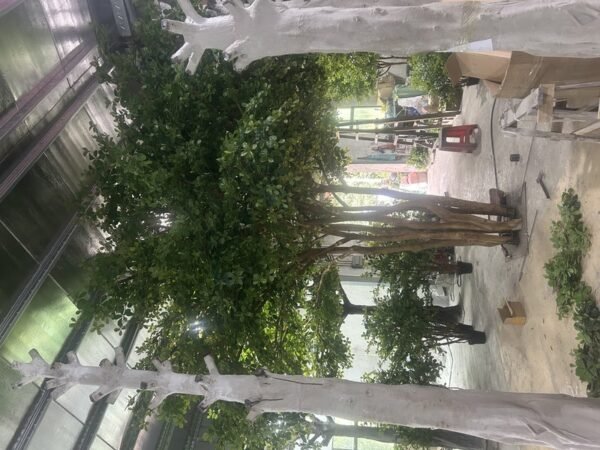 Artificial Large Banyan Tree