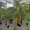 Large Artificial Palm Trees