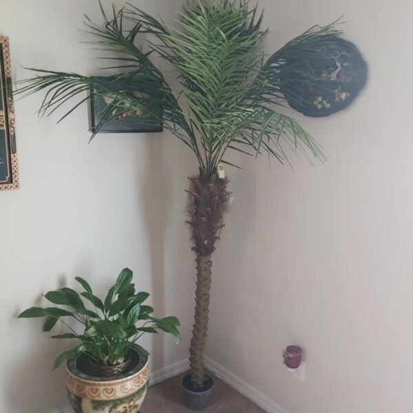 Large Artificial Palm Trees