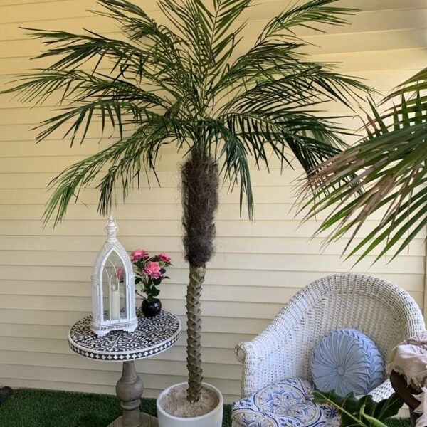 Large Artificial Palm Trees
