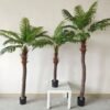 Large Artificial Palm Trees